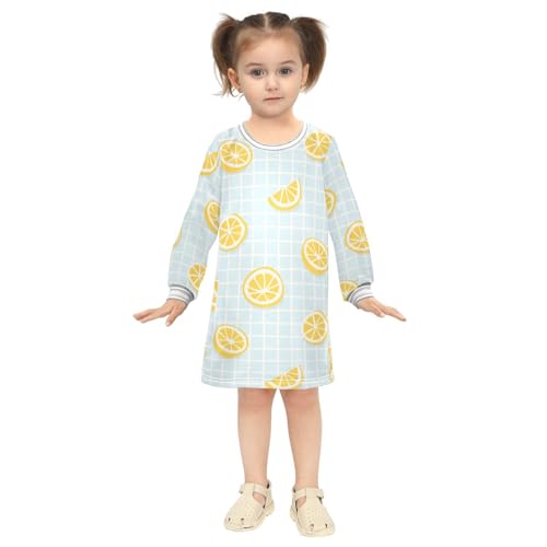 Lemon Slice Girls Dresses Long Sleeve Sweatshirt Dress for Girls Winter Toddler Casual A Line Dresses Size 2-8T4
