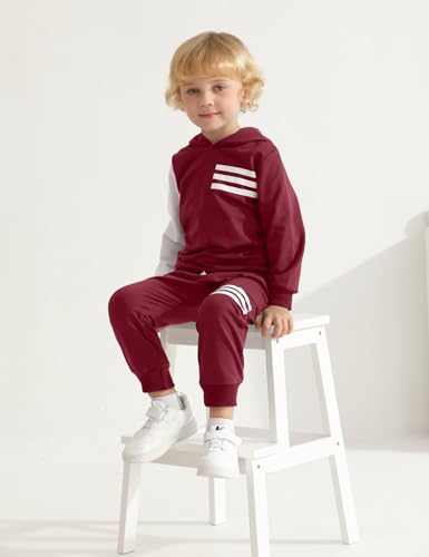Image of Toddler Boy Clothes Long Sleeve Hoodie Sweatsuits Tops and Pants 2Pcs Boys Fall Winter Outfits Set