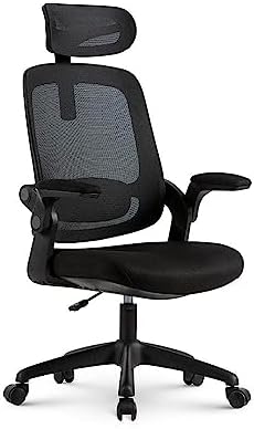 Cadeira de Escritorio Ergonômica Astra Preta com Apoio Lombar e C...