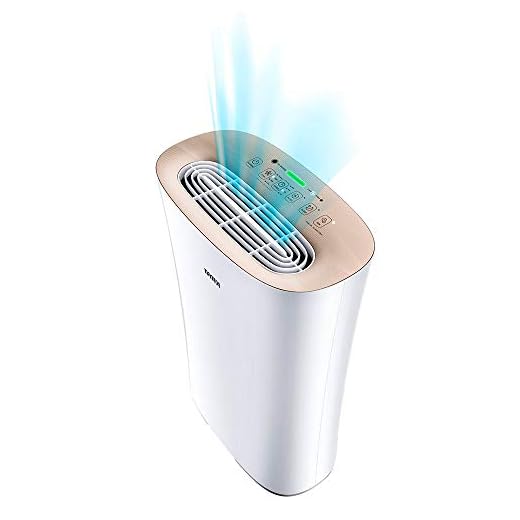INFINITON Climatizador 3 en 1: Ventilador, humidificador y purificador de aire AP-210-22W, 205m³/h, Filtro 3 en 1 (carbón Activo, HEPA y multifunción), Detector de Calidad de Aire