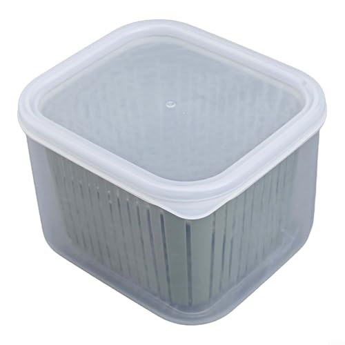 BlesConi Caja de almacenamiento segura para alimentos con sistema de drenaje para bayas, verduras y aperitivos (traje verde)