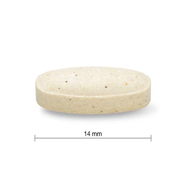 Nutrisentials Digestive Enzymes – Gluten-Free Nutrisentials Digestive Enzymes – Gluten-Free