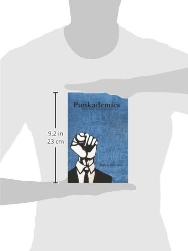 Punkademics décoder l'impact du rock alternatif sur la société moderne - 3