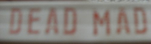 Dead Madonna (Loon Lake Fishing Mystery, Book 8) 0373266510 Book Cover