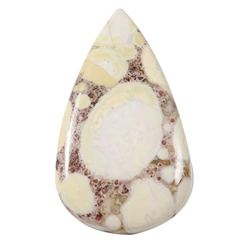 Jaspe Cobra cabochon poire pierre précieuse naturelle vrac 48,2 carats