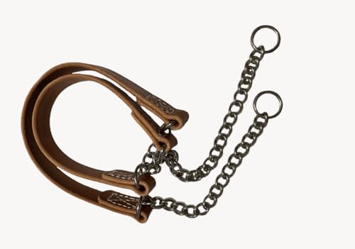 Joel Silverman's Alternative Training Collar (2 Collar Your Choice Special) (Medium2-Medium1)