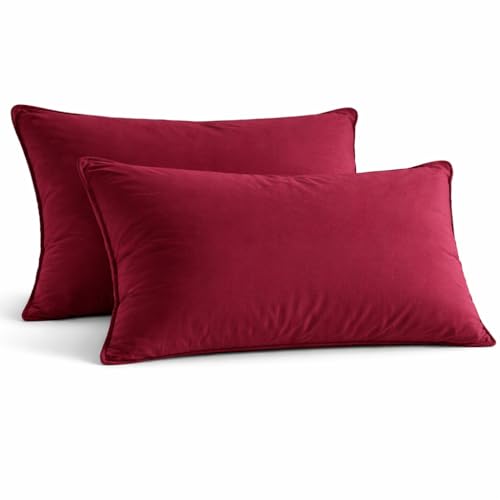 Image of Microfiber Pillow Set of 2 for Sleeping - 20x30 Inches, Burdundy