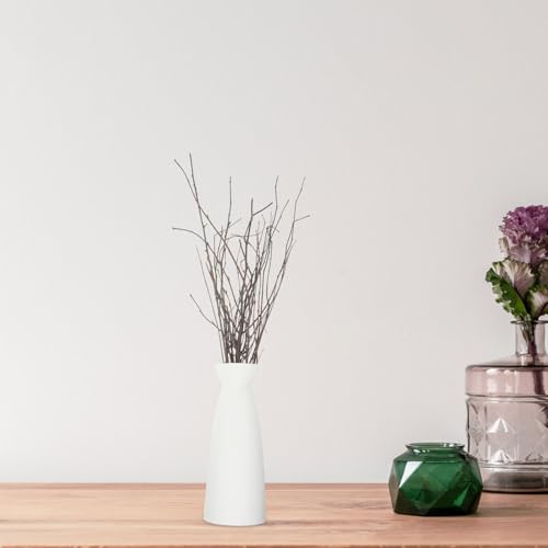 HAPINARY ブラウンの木材製 白樺の木使用した 花瓶用の枝 10個セット 家庭用植物の装飾 や 寝室やカフェの枝の装飾に最適な の [5]