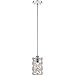 Quoizel QPP4046PK Oliver Crystal Mini Pendant Ceiling Lighting, 1-Light, 100 Watt, Polished Nickel (10"H x 5"Dia)