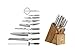 Global 10 Piece Takashi Knife Block Set - Lightweight Japanese Stainless Steel, Razor-Sharp Edge, Made in Japan (G-2, G-9, G-21, G-72, GS-5, GS-6, GSF-15, GSF-22, GKS-210), G-79589AU
