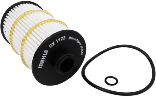 Bauknecht Ox 1123D Motor Blocchi - 4