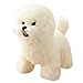YUDIZWS Peluche Bichon Frise Cane Realistico, Simulazione Adorabile Cucciolo Peluche,Animali da Compagnia Morbidi per Anziani E Bambini,Bichon Frise