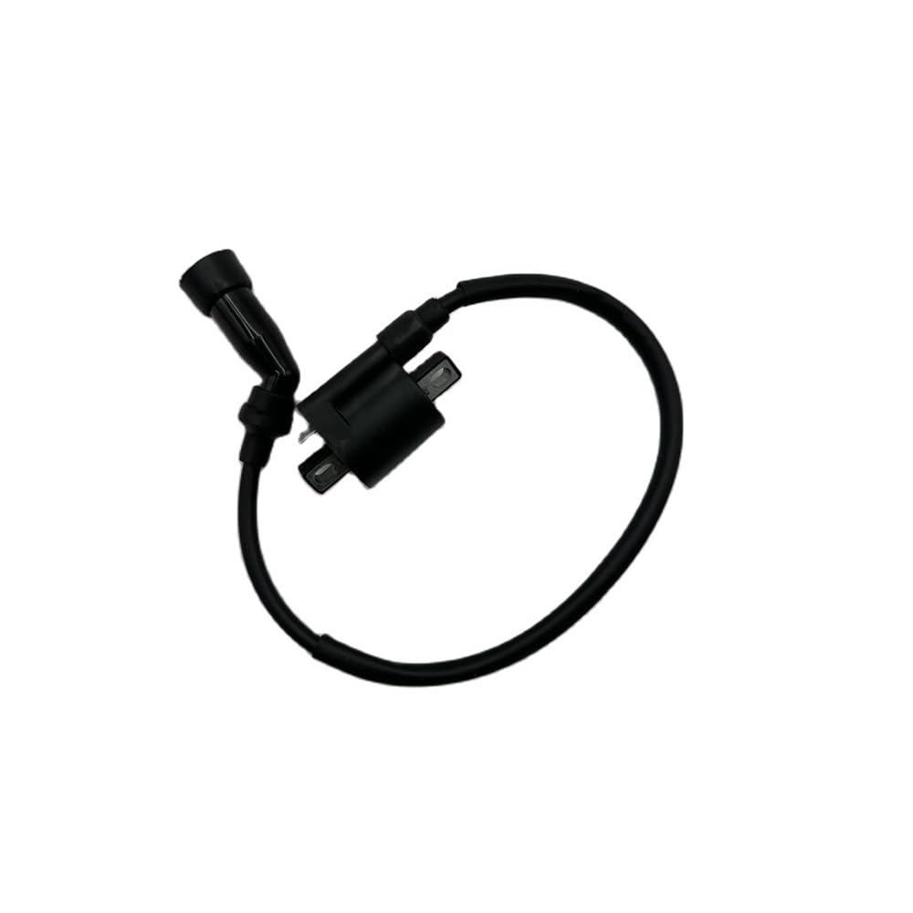 Bobina de encendido para rutas en ATV JS250, componente esencial de 250 cc 6