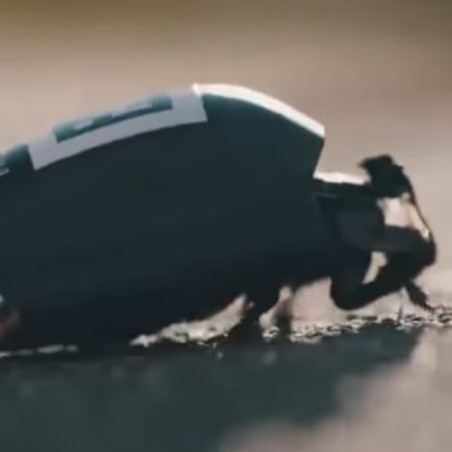 AI tar n&auml;sta steg &ndash; fr&aring;n metaverse till biologiska vapen