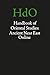 The Old Syriac Inscriptions of Edessa and Osrhoene: Texts, Translations and Commentary (Handbook of Oriental Studies: Section 1; The Near and Middle East, Band 42) - Drijvers, Han, Healey, John