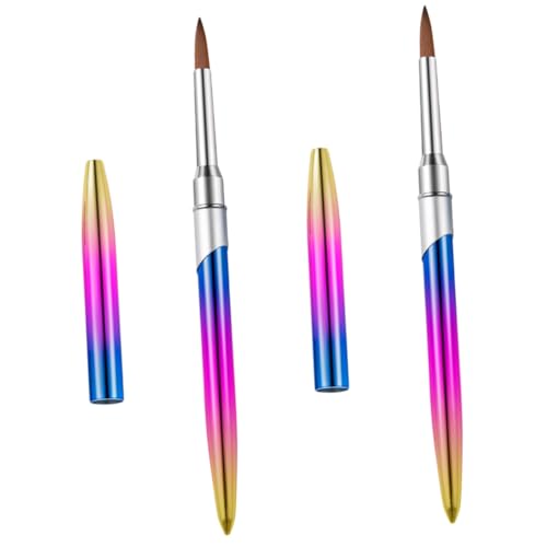 Baluue 2 piezas Pinceles Profesionales para Manicura Herramienta para de Uñas con Punta Diseño Duradero para Gel y Salón y Hogar Colores Degradados para Decoración Creativa
