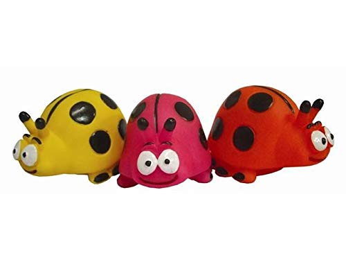 Joaninha Vinil Varandas