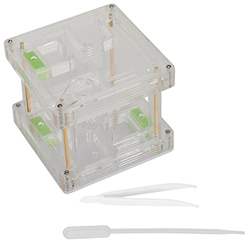 Caja expositora acrílica de hormigas Qcwwy con red de ventilación 5