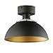 Dawn 1 Light Semi-Flush Mount-9 Inches Tall and 12 Inches Wide Antique Brass/Black Maxim Lighting 12040Abbk
