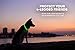 Illumiseen LED Dog Collar USB Rechargeable - Bright & High Visibility Lighted Glow Collar for Pet Night Walking - Weatherproof, in 6 Colors & 6 Sizes (Green Large)