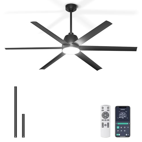 Phylluz 65 Inch Ceiling Fan with Lights - Black Ceiling