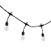 Sterno Home 48-Ft Vintage-Style Waterproof Outdoor LED String Lights – Hanging Edison Bulbs on Black Rubberized Cord – For Backyard, Weddings, Patio, Porch, and more.