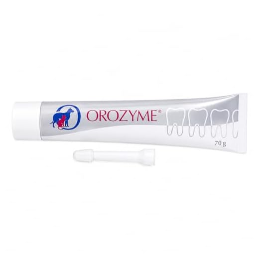 Orozyme Zahnpflege Gel 70 g