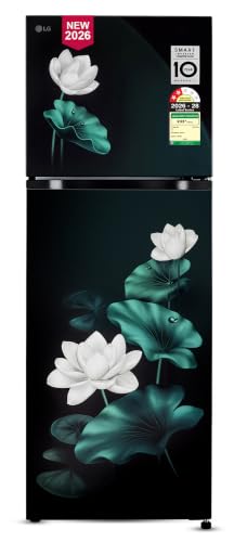 Image of LG 251 L, 2 Star, Frost-Free Smart Inverter Double Door Convertible Refrigerator (GLT2526XWEL, Emerald Lotus, Smart & Dairy Mode, Express Freeze & Convertible Space for More Storage, 2026 Model)