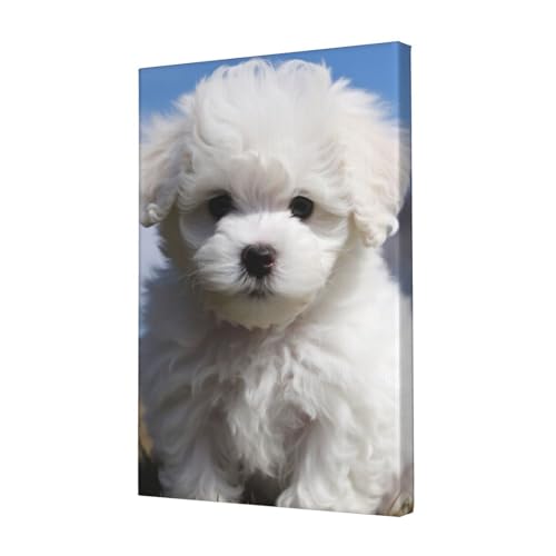 Toile bichon frisé pour embellir les murs vides - Poster mural suspendre chambre et bureau