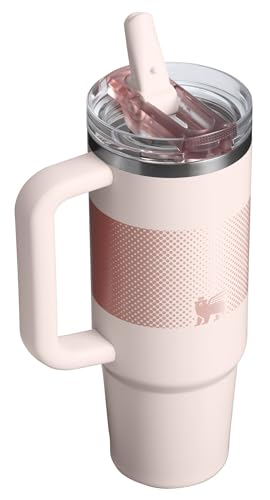 STANLEY Quencher ProTour Flip Straw Tumbler with Leakproof Lid | Built-In Straw & Handle | Cupholder Compatible for Travel | Insulated Stainless Steel Cup | BPA-Free #2