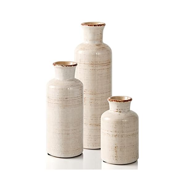 Eyamumo Ceramic Vase for Decor Set of 3 Small Vases, Vases for Rustic Home Decor Accent, Modern Farmhouse Vase Sets for Living Room Decorations, Ideal Shelf Décor, Table, Bookshelf, Entryway