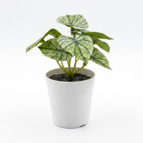 Image of Dekorly Pack of 6 Mini Artificial Potted Plants, Small Indoor Potted Houseplants, Small Faux Plants for Home Decor Bathroom Office Farmhouse (Mini Botanical Collection)