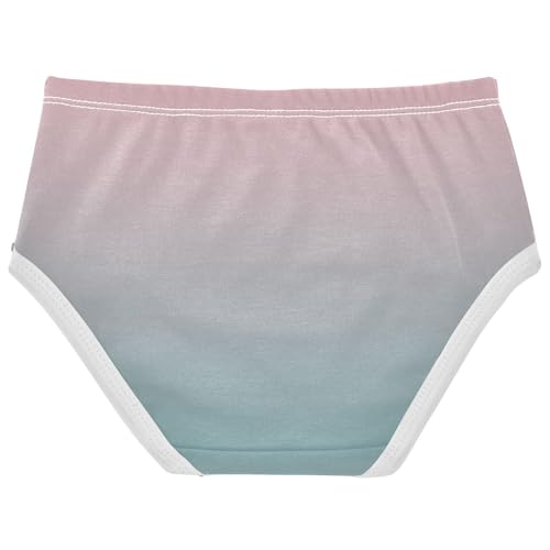 Joisal Fancy Girls Underwear Toddler 2t Cotton Panties for Girl Blush Pink Cadet Blue Gradient Briefs Girls Undies2