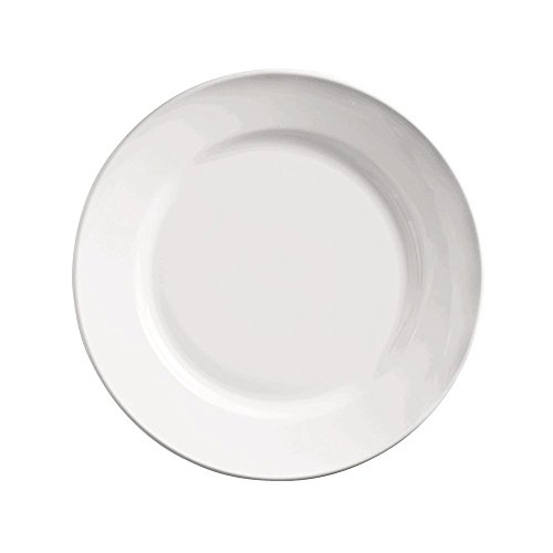 World Tableware 840-438R-10 Classic Plain Bright White China - Plate, Wide Rim, 10-1/2