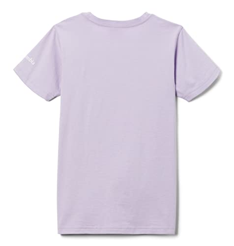 Image of Columbia Kids Mission Lake Short Sleeve Graphic Shirt (Little Kids /Big Kids)