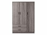 armoire bois gris DIMENSIONS GÉNÉREUSES : Largeur de 120 cm, profondeur de 52 cm, avec une structure autoportante en bois aggloméré et finition mate