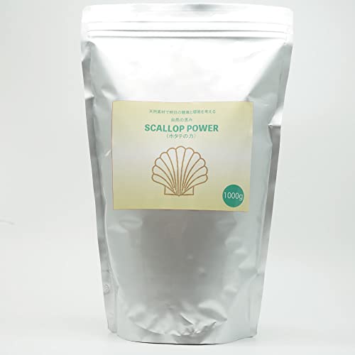 z^e̗ z^e z^epE_[ 1000g  ʕ  ؁Eʕ SCALLOP POWER z^eLkĐ