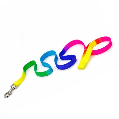 Image of Dog Trust Colourful Adjustable Nylon Puppy Leash Harness and Collar Combo, Suitable for Puppy 15 mm Multicolor (Collar + Harness + Leash) 01