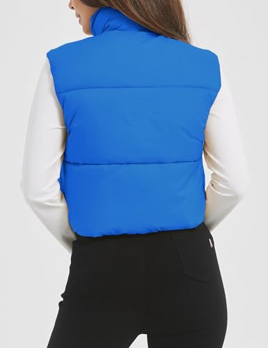 Flygo Puffer Vest Women Cropped Vest Zip Up Stand Collar Sleeveless Lightweight Winter Down Vests Jacket4