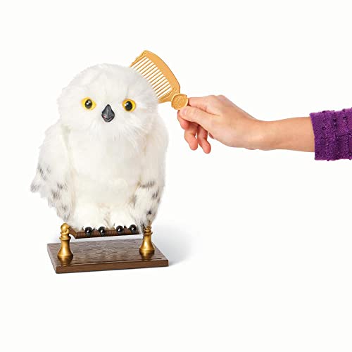 Harry Potter - Coruja Hedwig