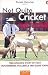 Produktbild Not Quite Cricket: The Explosive Story of How Bookmakers Influence the Game Today