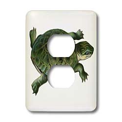 Plaque tortue pour 2 prises : camoufler vos vieux boîtiers