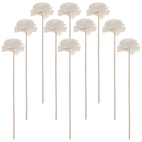 Toddmomy ^fBt[U[XeBbN 10{Zbg GbZVICp[h t[fUCt[A}XeBbN L