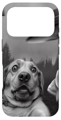 uuh[ZtB[v2C̕|ƐXUFO X}zP[X iPhone 17 Pro p