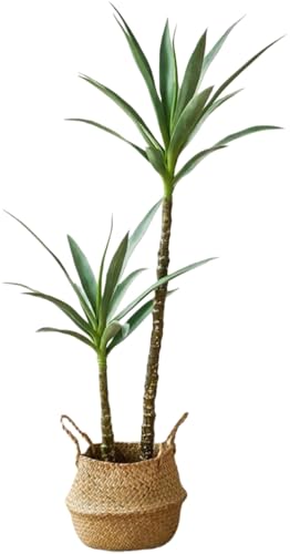 Dohera tFCNO[ϗtA lH tFCNc[ hZitFCNvg z[fR[V vX`bN k y ȒP sv ͂Ȃ CeA ƒp ItBX Ɩp oRj[ (҂ݖ~ 1.2m)