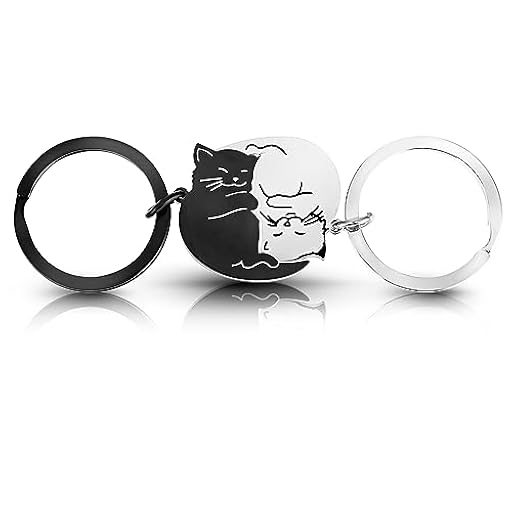 Ouligay 2pcs pareja llavero gato regalo pareja regalos para parejas novio novia san valentin hombre regalo mejor amiga amigas cumpleaños mujer cumpleanos cat keychain gifts for men women | Ya disponible en tu tienda friki favorita! En mundofriki.es!