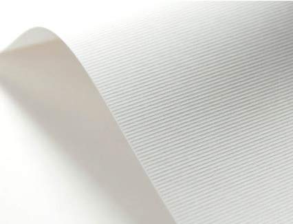 Netuno 400x White Ribbed Embossed cardstock A4 210x297mm 8.3x11.7in 246gsm Elfenbein Textured Paper Decorative cardstock for Invitations menus Photo Albums Table Cards Covers Business Cards Flyers