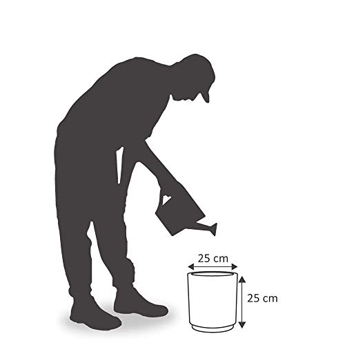 Vasart Urban Rio Vaso de Flores, Antique Preto, 25x25cm