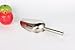 Lautechco 8 Inch Stainless Steel Ice Cube Shovel Scoop Scraper for Ice Bucket Multifunctional Bar Tools Tea Coffee Bean Scoop