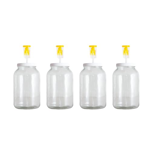 Craft A Brew - For Home Brewing Beer, Wine, Cider, and More - Includes Four 1 Gallon Glass Fermenter Jars, Lids, and Airlocks - Fermentation Jar 4-pack